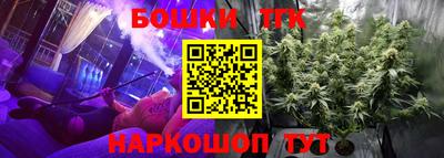 амф Сланцы