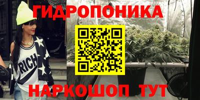 шишки Свободный