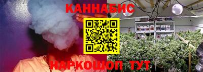 шишки Свободный