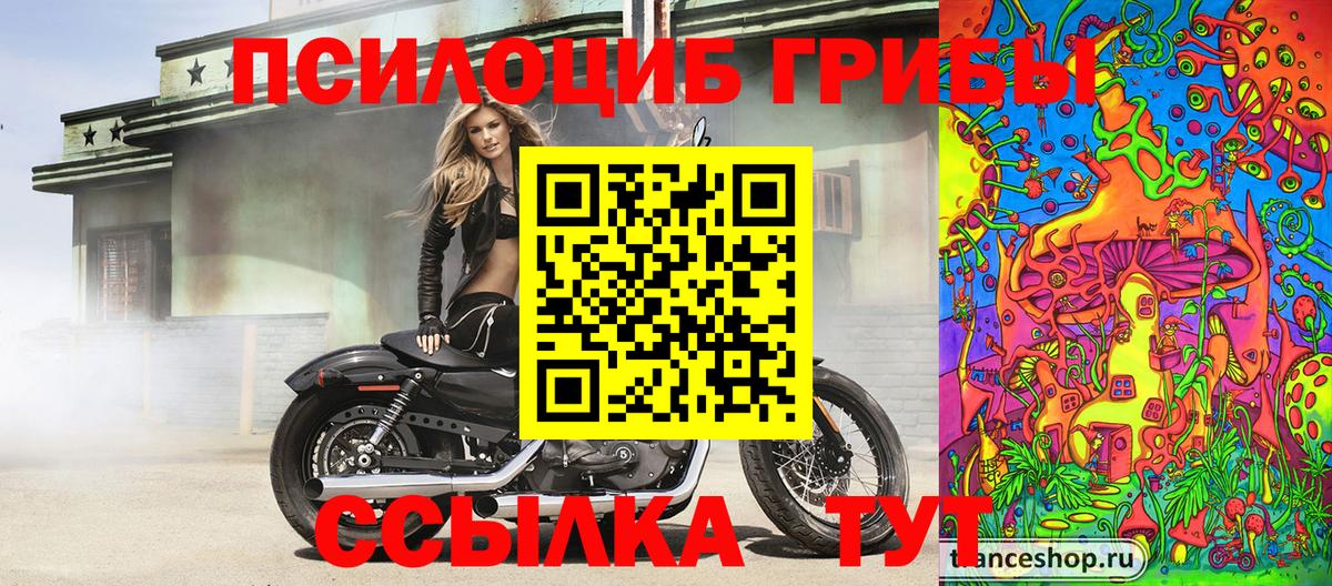 Новокубанск  Галлюциногенные грибы Cubensis  Галлюциногенные грибы прущие грибы  Вход с VPN 